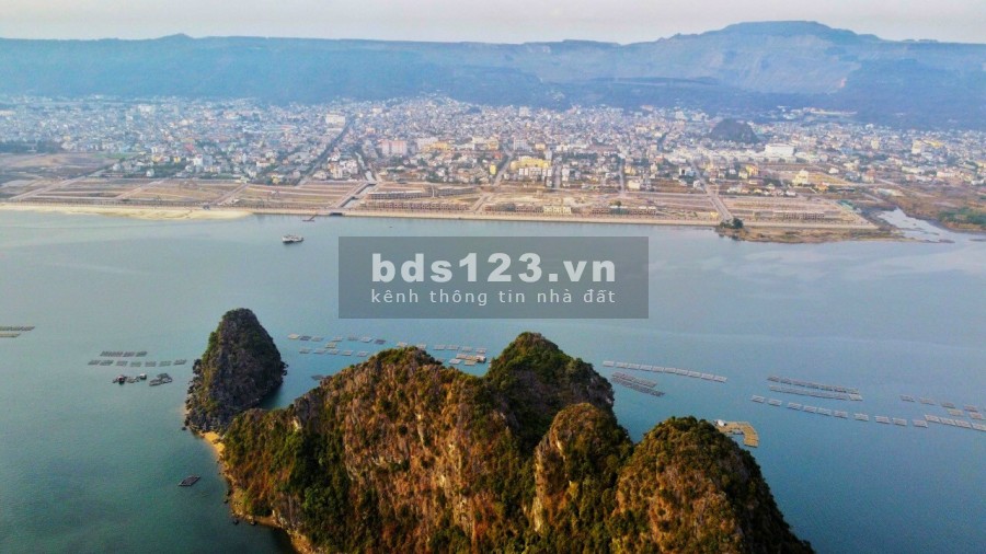 Bán đất nền dự án có sổ đỏ Green Dragon City Cẩm Phả