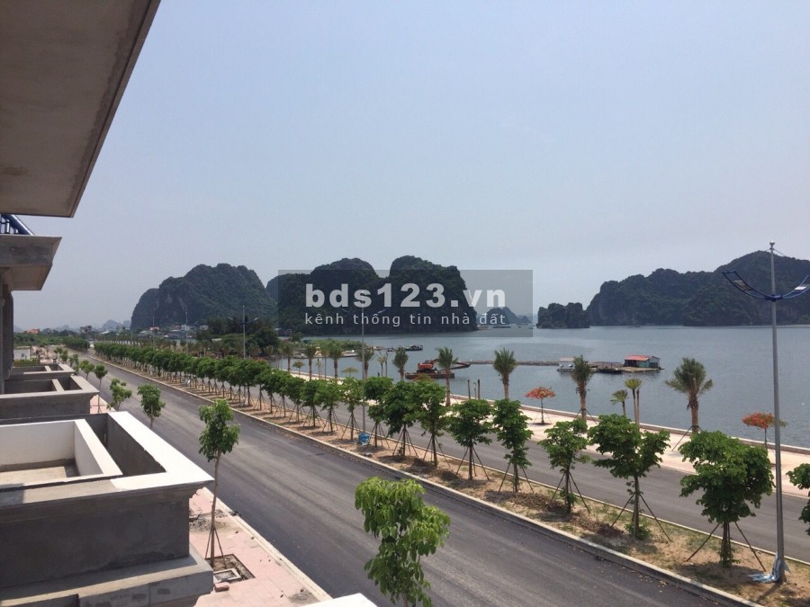Bán đất nền dự án có sổ đỏ Green Dragon City Cẩm Phả