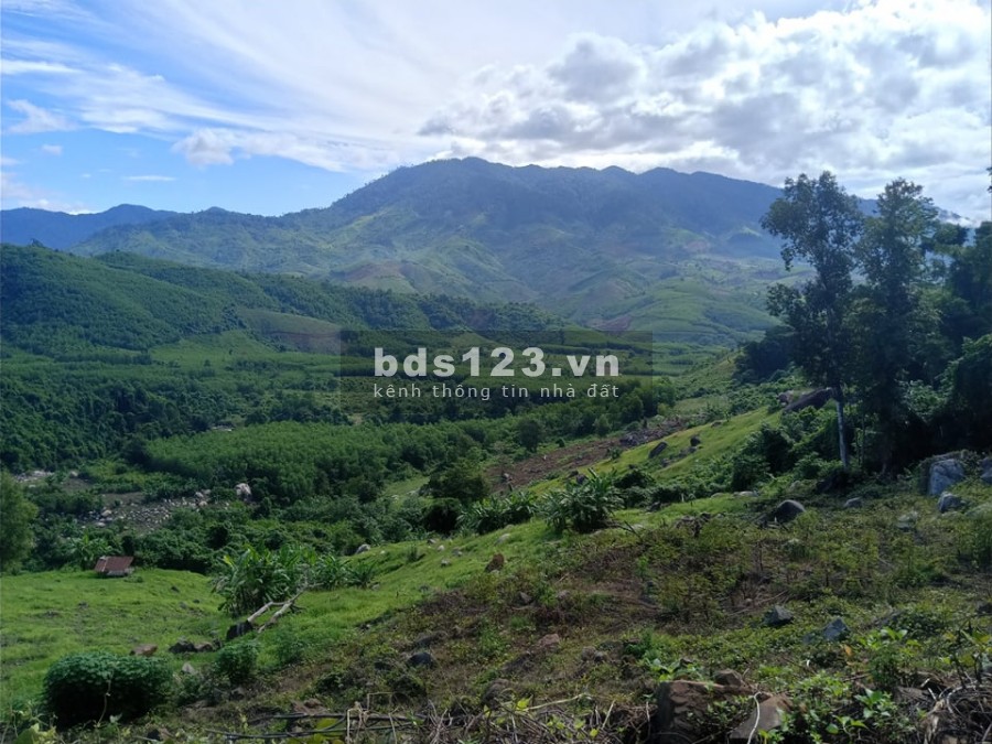 Đất giáp Suối cần bán 6ha làm khu sinh thái LH 0788.558.552