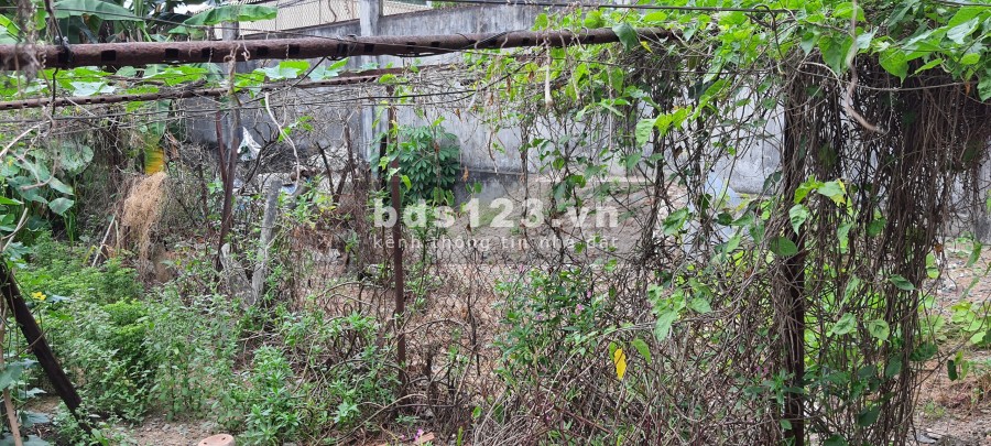Đất đẹp chính chủ phường tam hòa cần bán