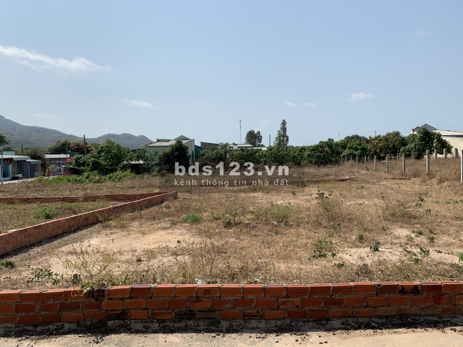 Khai xuân đầu năm bán 2 lô liền kề Bán đất tại đường Số 2, Long Hải, Long Điền, Bà Rịa
