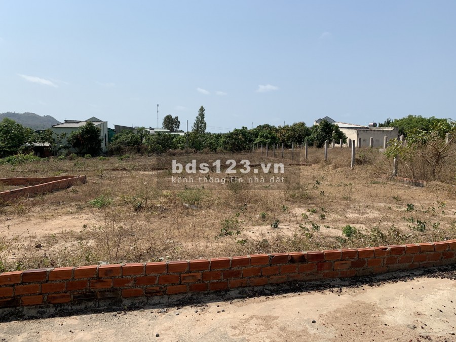 Khai xuân đầu năm bán 2 lô liền kề Bán đất tại đường Số 2, Long Hải, Long Điền, Bà Rịa
