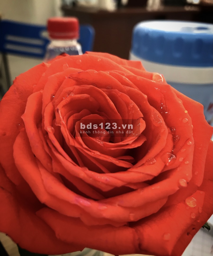 Sở hữu đất đẹp nhận ngay Lộc vàng