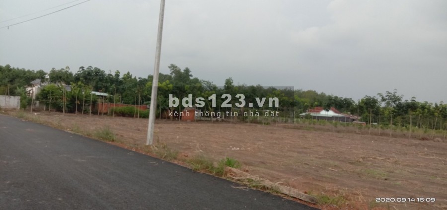 Cần bán gấp đất sào 1125 (15m x 75m) mặt đường nhà nước rộng 20m