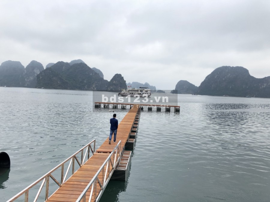 Dự án Green Dragon City Cẩm Phả nằm bên mặt vịnh Bái Tử Long
