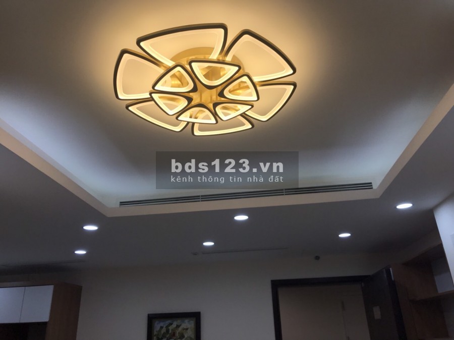 Tôi cần cho thuê gấp căn hộ 2PN 2WC Full nội thất đẹp Vinhomes D'capitale giá 15tr/tháng.