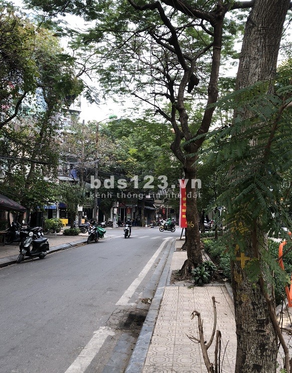 MP Kinh Doanh – Mặt Hồ Trúc Bạch ở đẹp, 75m2, MT 4.5m, Ba Đình
