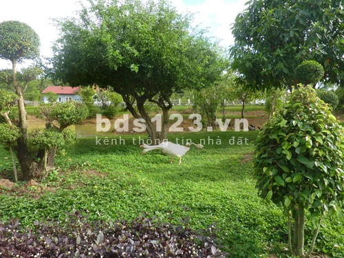 1600m2 đất mặt đường Đặng Xuân Bảng Nam Định bán gấp
