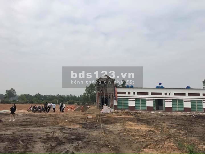 Tôi làm ăn kinh doanh bị thua lộ nên bán đi 1 miếng đất gấp
