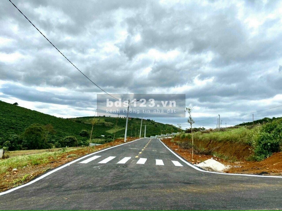 Đất thổ cư Bảo Lộc chỉ từ 700 triệu, sở hữu view đồi suối của Tây Nguyên.