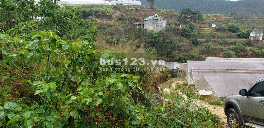 Cho Thuê Đất Nông Nghiệp , Dinh 1 , Đường Trần Thái Tông, F.10, Đà Lạt