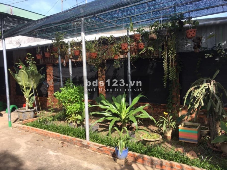 Bán Nhà nằm Trục chính Trần Hưng Đạo nối dài