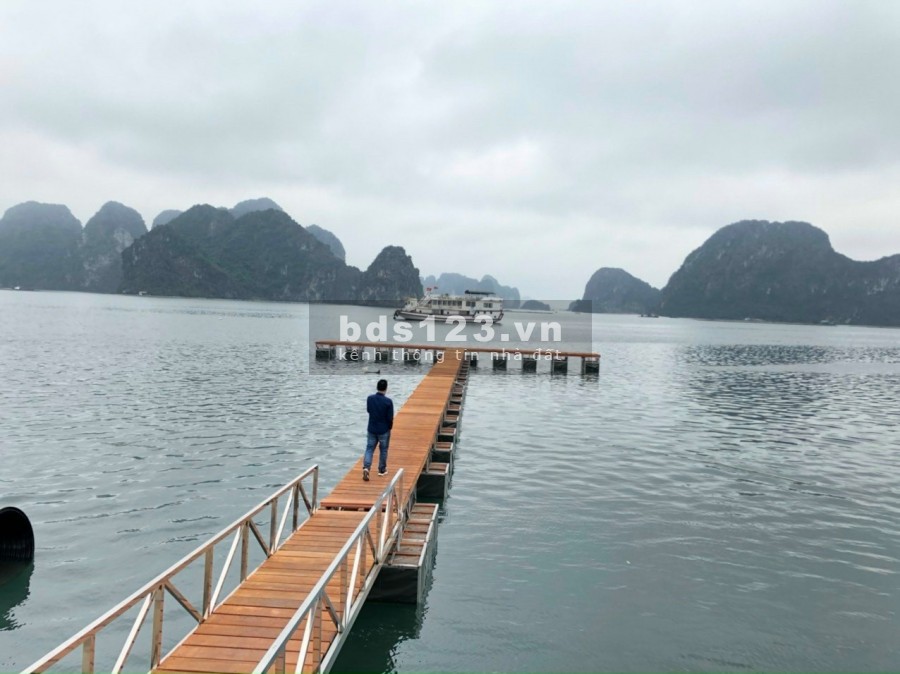 Dự án Green Dragon City nằm trên đường bao biển Hạ Long Cẩm Phả