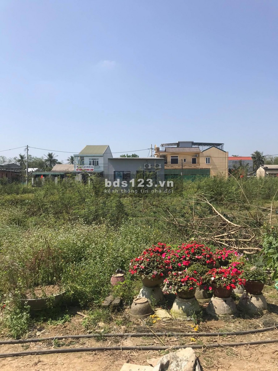 BÁN ĐẤT KHU QUY HOẠCH CHIẾT BI GIAI ĐOẠN 2 ĐỐI DIỆN KHU A PHÚ MỸ THƯỢNG GIÁ TỐT