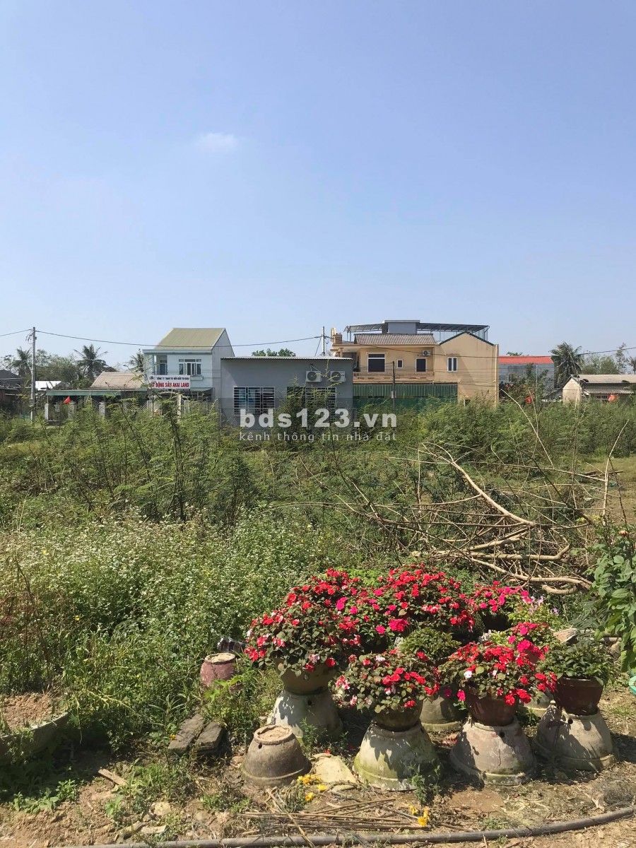 BÁN ĐẤT KHU QUY HOẠCH CHIẾT BI GIAI ĐOẠN 2 ĐỐI DIỆN KHU A PHÚ MỸ THƯỢNG GIÁ TỐT