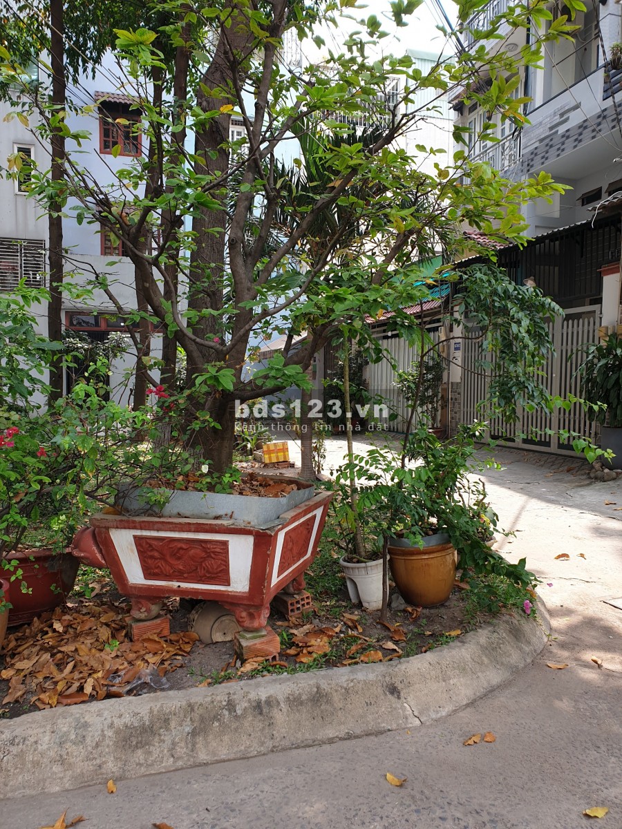 Nhà cho thuê gần Mặt Tiền 1 trệt 1lửng 2 lầu 200m2 Huỳnh Văn Nghệ, P12, Gò Vấp, KD Mọi nghề