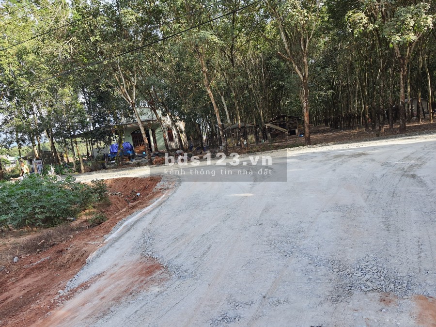 Cần bán sào đất vườn dầu tiếng ngang 14m tại bình dương