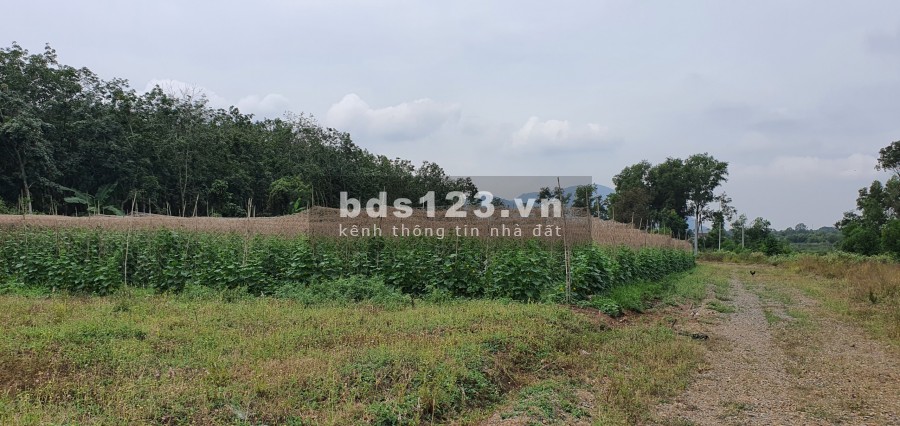 ĐẤT nền SHR, GIÁ không thể tốt hơn - Bà Rịa - Vòng xoay Hắc Dịch