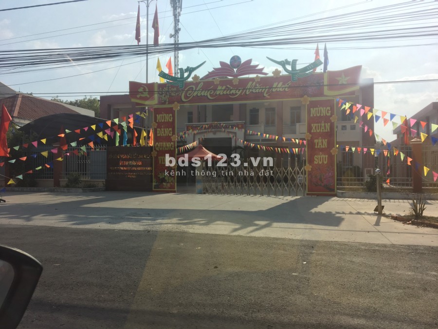 Cho thuê đất trống mặt tiền đường DT 749. Dt 10x30
