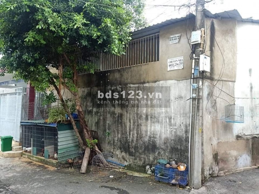 Bán nhà góc 2 mặt tiền phường Bình Thọ quận Thủ Đức diện tích lớn đường ô tô thông thoáng
