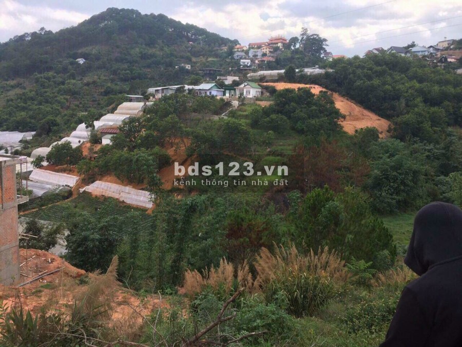 Nhà đất Đà lạt cần bán đất view đẹp, thoáng, gần khu biệt thự, chuỗi quán cà phê, homestay chill chill ở Đà Lạt