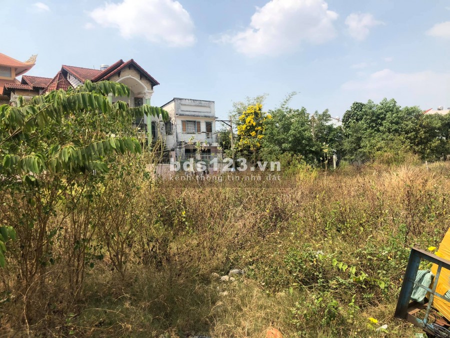 ĐẤT PHÂN LÔ HXH P.LINH ĐÔNG GẦN CHỢ THỦ ĐỨC 3.95 TỶ