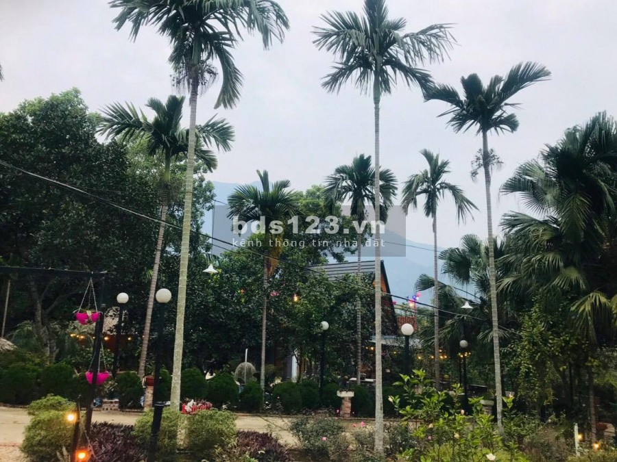BÁN KHUÔN VIÊN HOÀN THIỆN VIEW NÚI BA VÌ