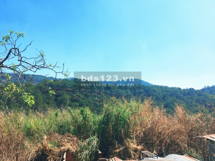 Cần bán đất Đà lạt đất đẹp bằng phẳng view đồi thông thoáng mát thích hợp kinh doanh homestay khách sạn hoặc đầu tư phân lô là tuyệt đỉnh