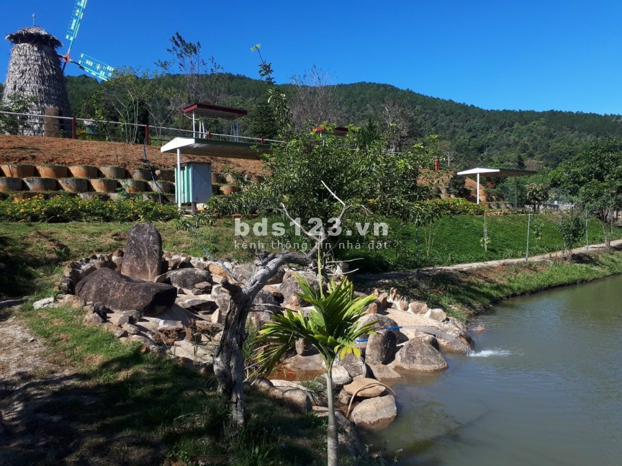 Nhà đất Đà Lạt cần bán khu vườn nghĩ dưỡng có thể kinh doanh cf làm khu du lịch nghĩ dưỡng