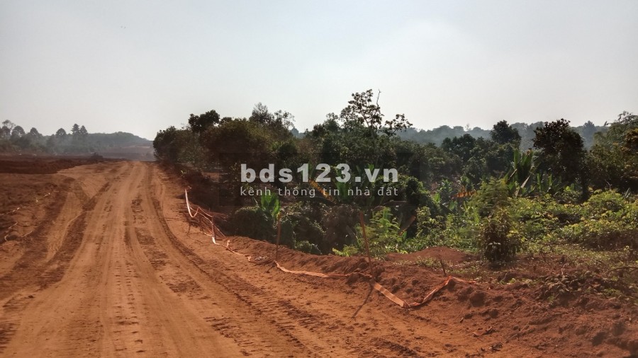 CẦN BÁN VƯỜN MÍT NHƯ HÌNH TẠI XÃ HÀNG GÒN TP LONG KHÁNH GIÁ 500tr/SÀO SỔ HỒNG RIÊNG