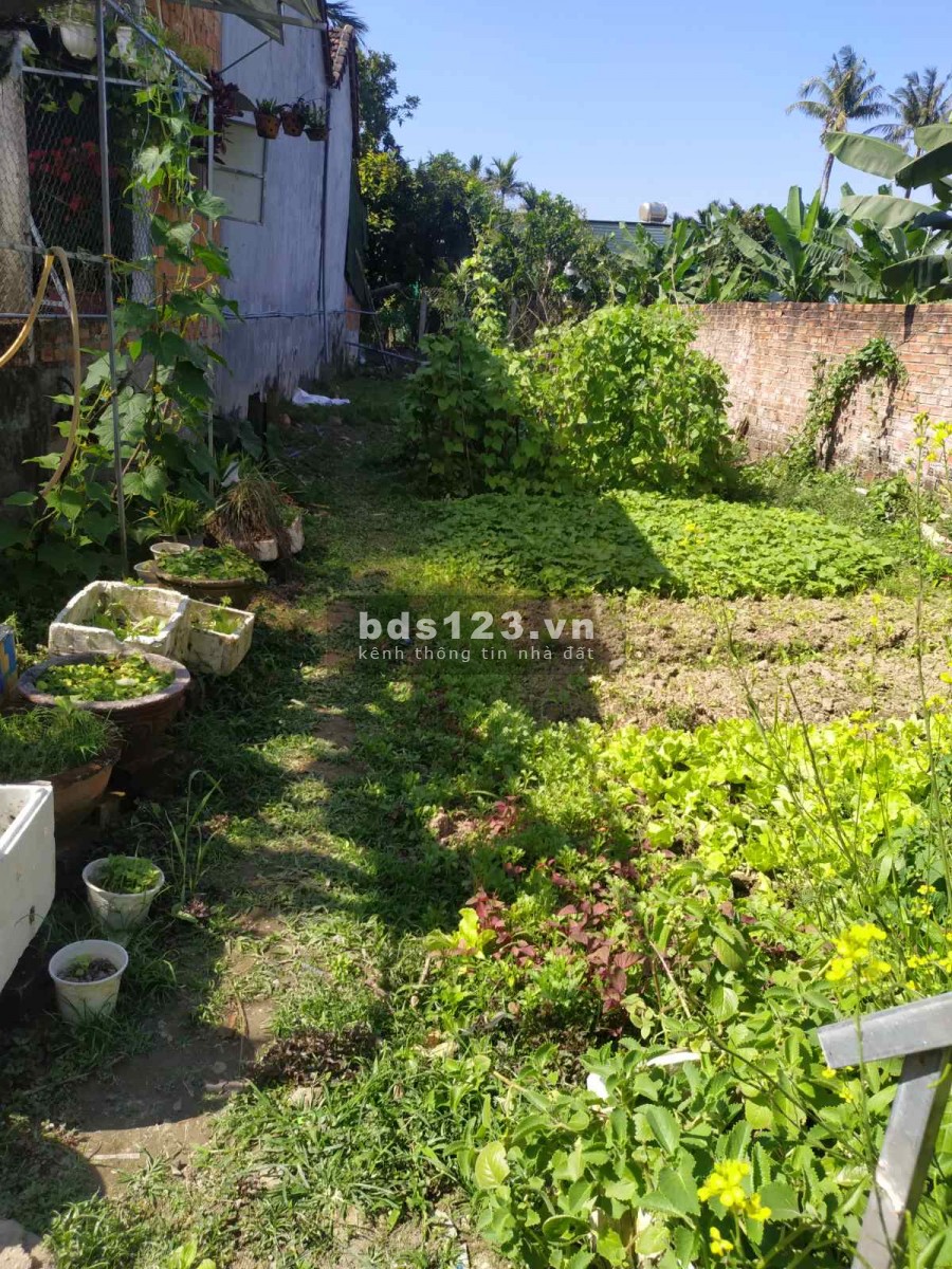 Bán lô đất Tịnh Ấn Tây, cách Cầu Thạch Bích chỉ 2 phủt xe máy. LH 0934 192 309