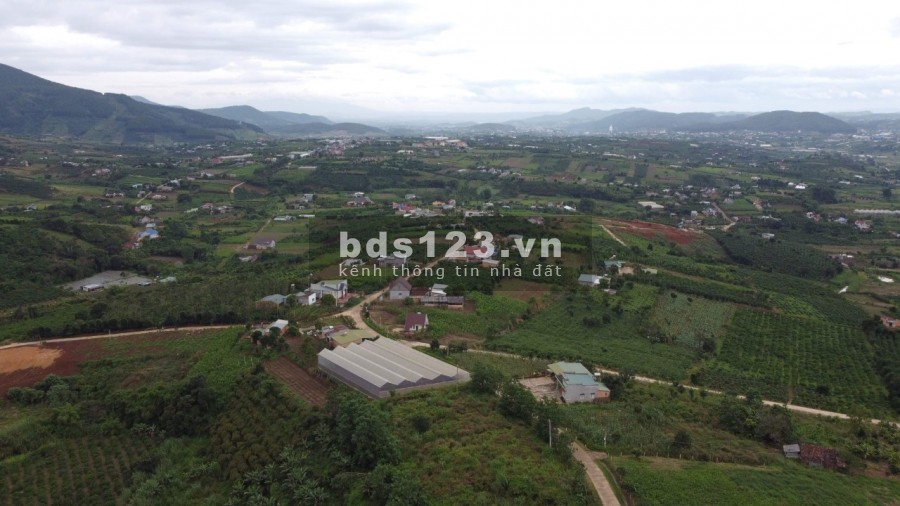 ĐẤT NGHỈ DƯỠNG ĐÀ LẠT 2,3 HECTA