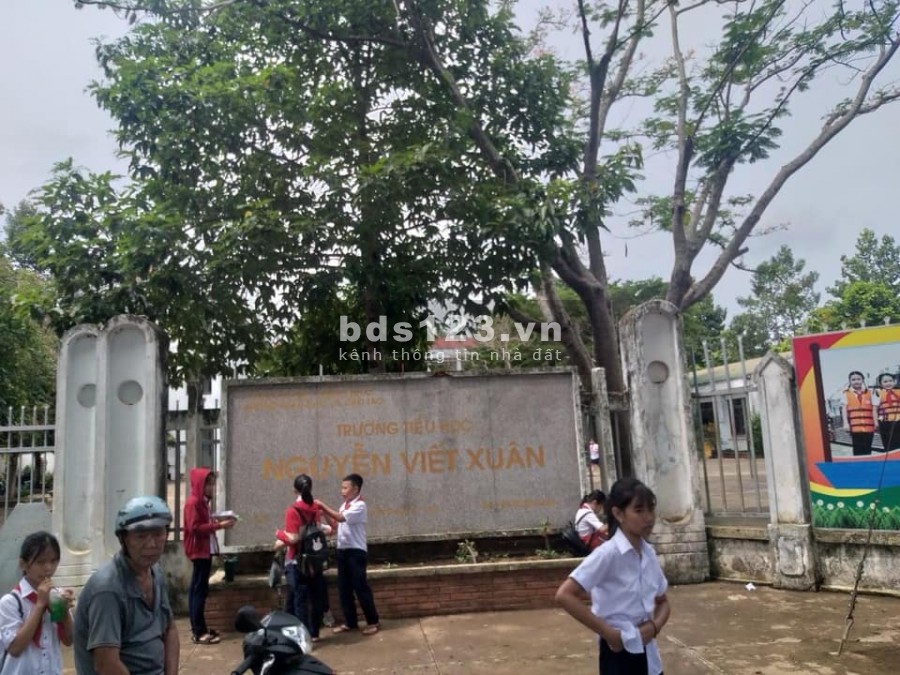 Bán đất sổ hồng 100% thổ cư, bên cạnh trường tiểu học Nguyễn Viết Xuân
