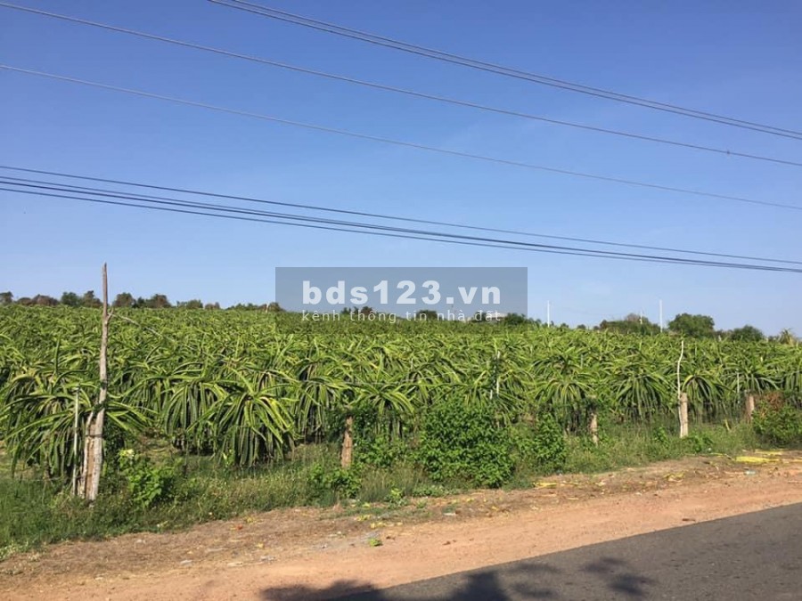 Bán 25,810m2 đất nông nghiệp hồng thái sát đường liên xã chỉ 90k/m2 Lh 0938677909 Hiền