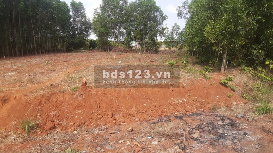 Chính chủ bán lô đất mặt tiền đường nhựa 765, xã Long Tân, huyện Đất Đỏ, BRVT