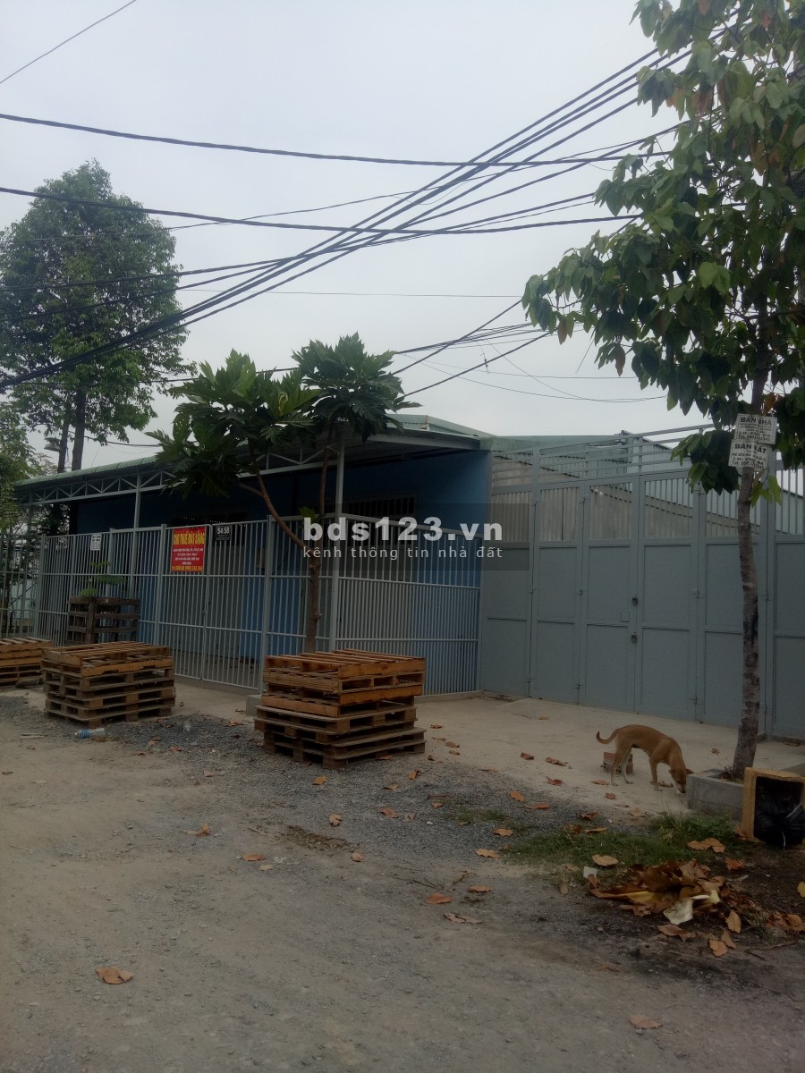 Kho xưởng 1000m2 xe container QL1A.Tân thới Hiệp. Q12