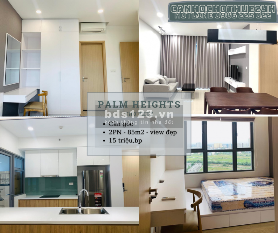 TOP 6 Căn hộ cho thuê HOT tại Palm Heights