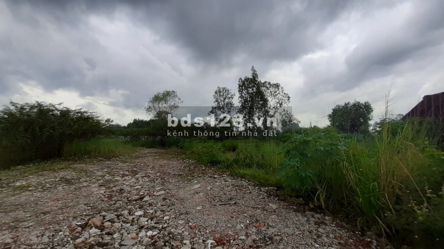 13,000 m2 Đất Mặt tiền Trần Văn Giàu - Bình Tân