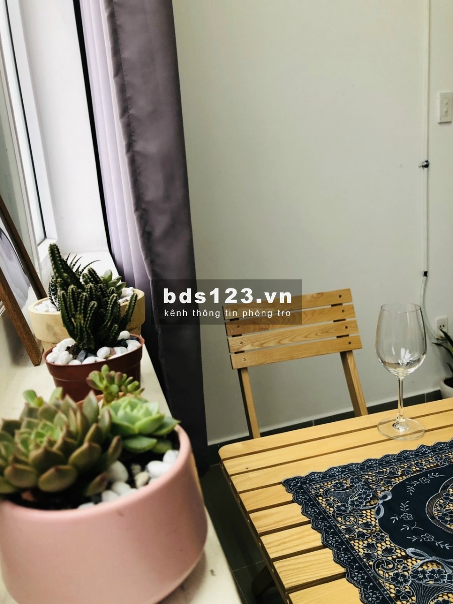 Cho thuê căn hộ mini cao cấp - an ninh - văn minh - đầy đủ tiện nghi - khu vực trung tâm