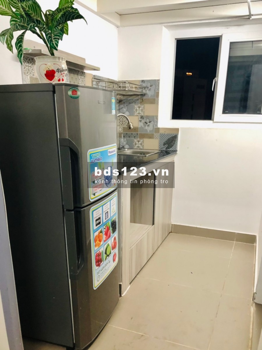 Cho thuê căn hộ mini cao cấp - an ninh - văn minh - đầy đủ tiện nghi - khu vực trung tâm
