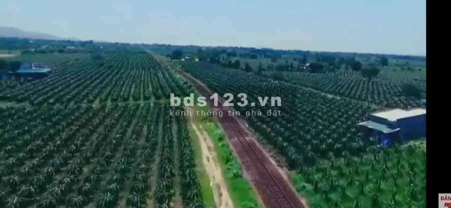 2 lô đất nông nghiệp hồng thái vị trí đẹp cho khách tài chính thấp chỉ 320 triệu Lh 0938677909 Hiền