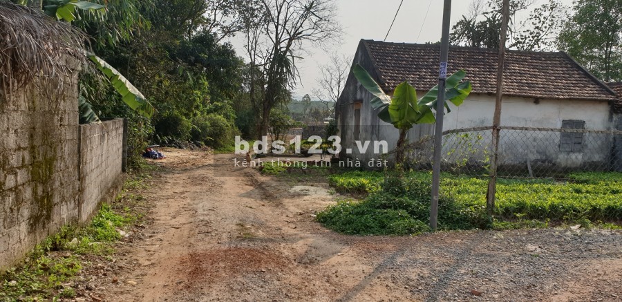 Bán đất 2 mặt tiền ngõ 15A, giá siêu rẻ cho vợ chồng trẻ, 75m2 chỉ 4xx