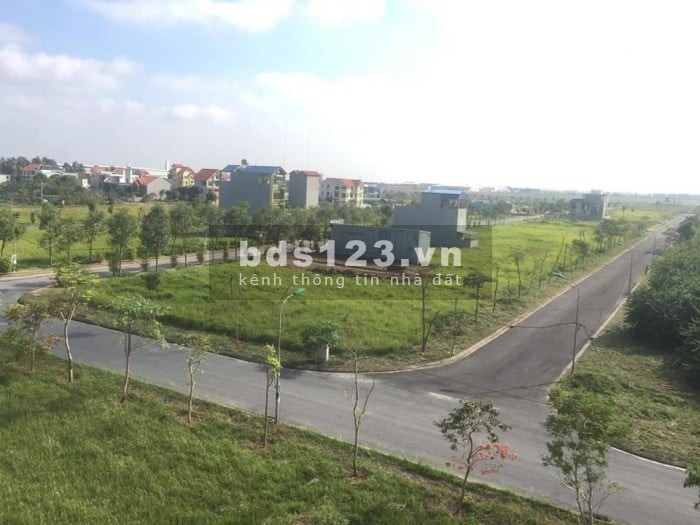 * NĂM CON TRÂU ĐẦU TƯ LÀ THẮNG ! New City Phố Nối
