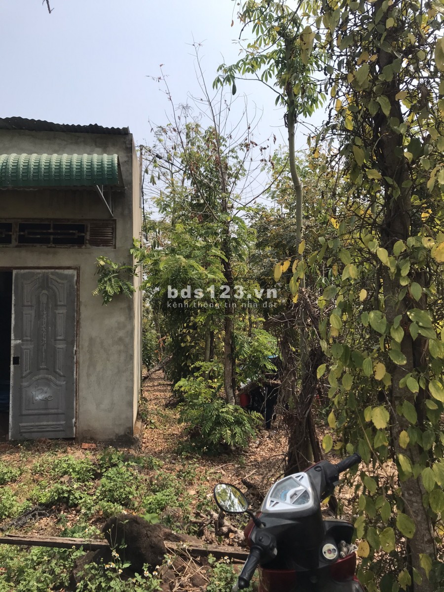 Chính Chủ Bán Gấp Lô Đất Rẫy Tại Hòa Khánh-Buôn Ma Thuật- Đăk Lăk