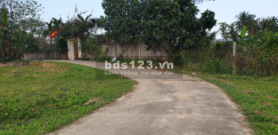 Bán đất ngõ Nguyễn Đóa - Nghĩa Ninh, 7 x 21m, đường 5m, chỉ 6xx, giá tốt để đầu tư