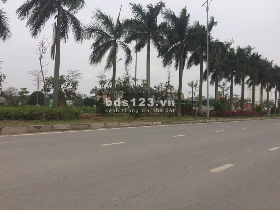 Bán đất 102m2 cạnh trường học tại NewCity Phố Nối, Hưng Yên.