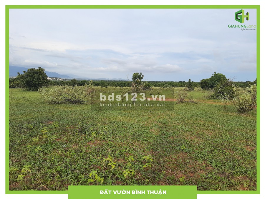 Cần bán đất ở xã Hồng Thái, huyện Bắc Bình, Bình Thuận