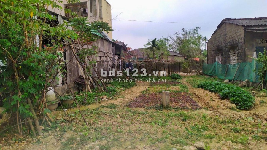 ĐẤT MẶT TIỀN TRỤC 60M CẠNH ROYAL PARK - HÀNG HIẾM GIÁ SIÊU ĐẦU TƯ. LH 0702_788_074 MS VÂN