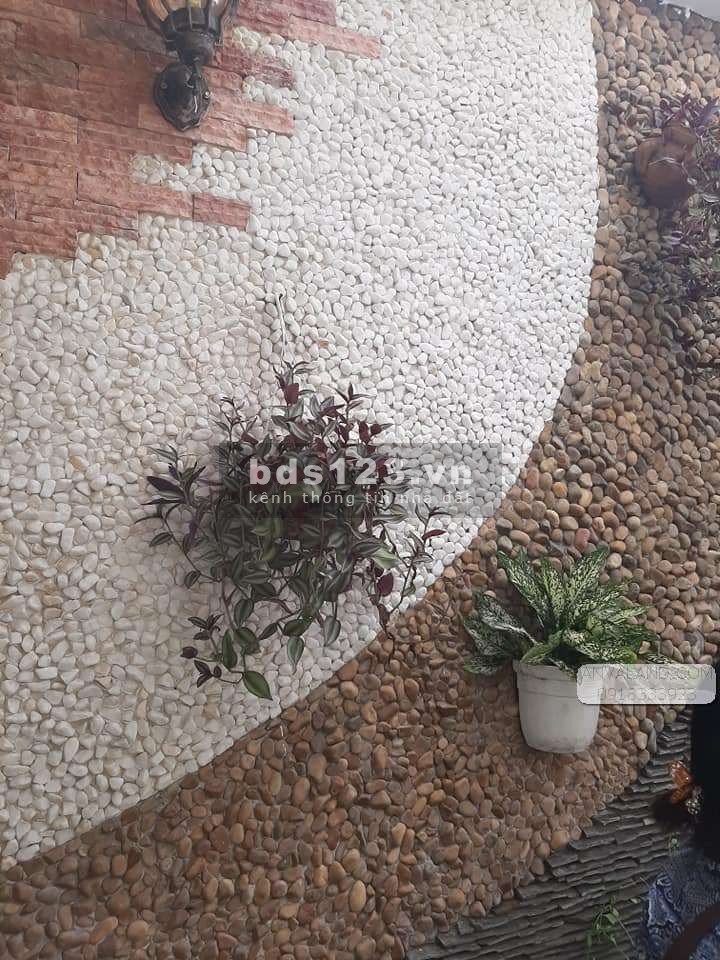 Bán gấp nhà ngay Rạp Hát Long An, Đường Trương Định, Phường 2, Tp Tân An, 1 Trệt 4 Lầu, 100m2 đất, chỉ 6 tỷ 2