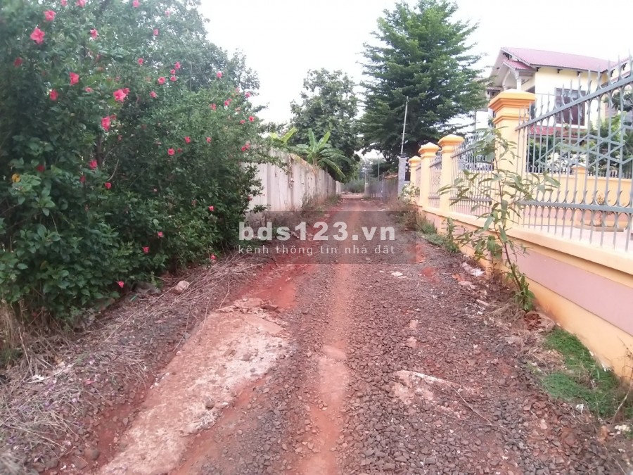 Đất chính chủ, gia đình cần bán gấp đất bên cạnh Ủy ban xã, Trạm xá, gần Chợ, gần Nhà thờ, Khu dân cư đông đúc